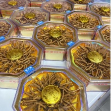 那曲2000条100g